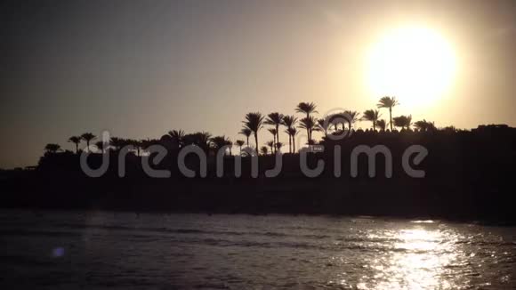 海边的日落和棕榈树视频的预览图