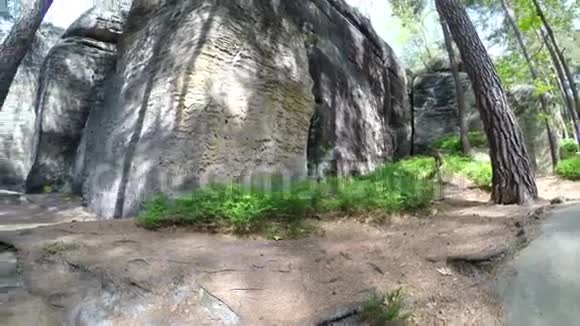 一个巨大的砂岩岩石在森林与天空阳光灿烂视频的预览图