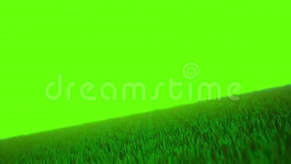 绿幕草地3D动画视频的预览图