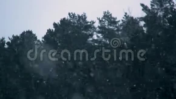 雪花在白色的天空中缓缓飘落视频的预览图