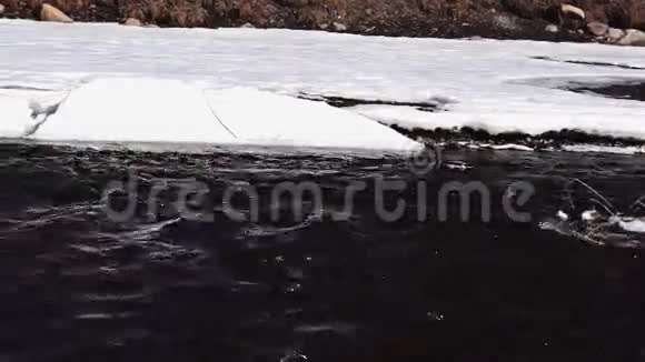 春河里的鸭子视频的预览图