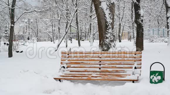 冬天降雪后在公园里呆着视频的预览图