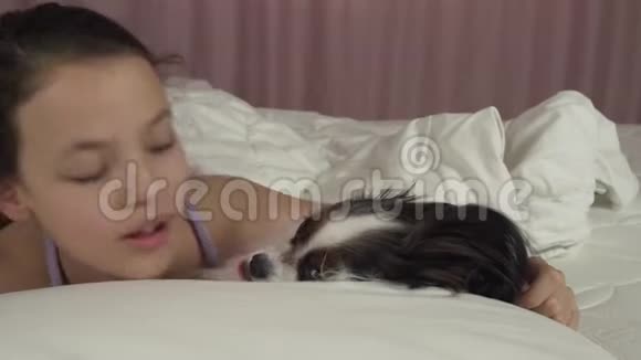 快乐少女亲吻和玩狗帕皮隆在床上股票视频视频的预览图