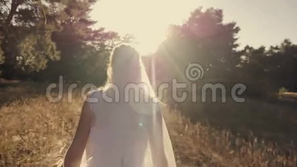 新娘在田野里散步在日落时迎接太阳视频的预览图