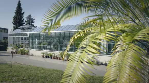 大温室有玻璃墙基础山墙屋顶花园床视频的预览图