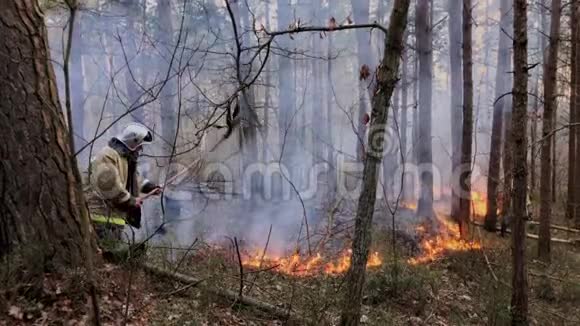 森林里着火干草燃烧视频的预览图