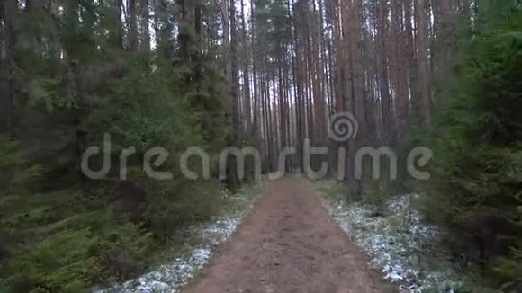 在森林中射杀冰冻的肮脏通道视频的预览图