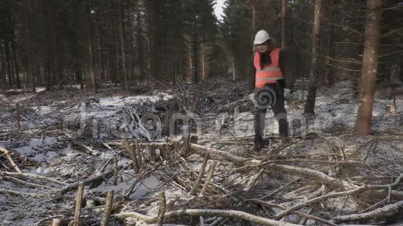 在被摧毁的森林里手提电脑的伐木工人视频的预览图