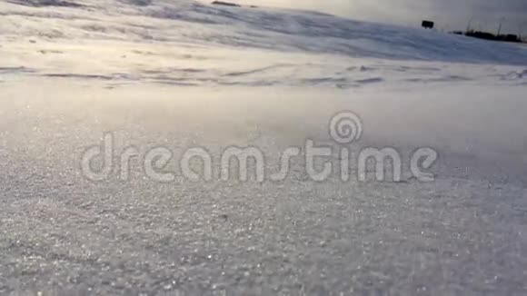 飘雪特写冬天背景下的雪风暴风雪视频的预览图