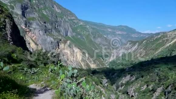 靠近阿雷基帕的科卡峡谷秘鲁视频的预览图