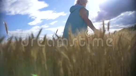 女人走在金色的麦田里视频的预览图