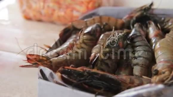 鱼市龙虾及海产品视频的预览图