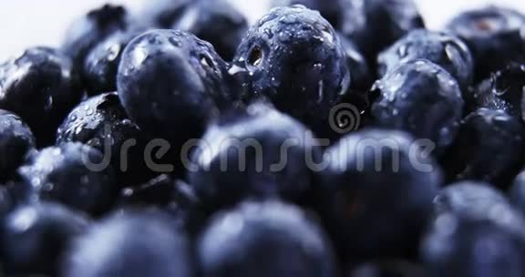 用水滴特写新鲜蓝莓视频的预览图
