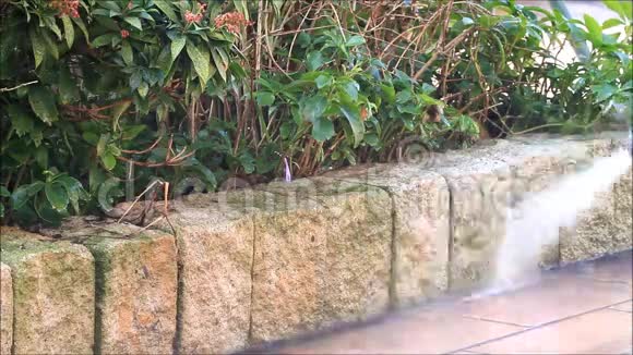 清洗花园里的石头压力洗衣机视频的预览图
