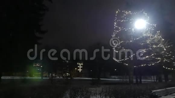 夜晚街道上的树木和灯光新年前夜4UHDK视频的预览图