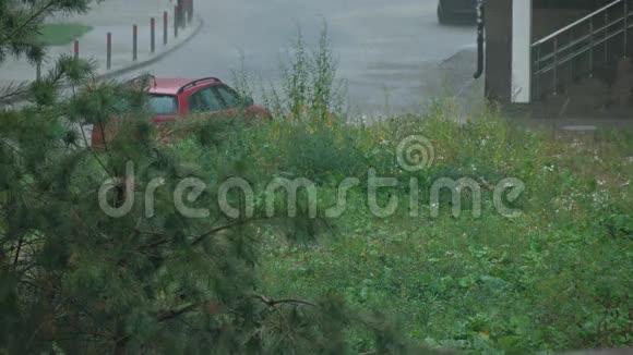 小区内降雨夹4K视频的预览图