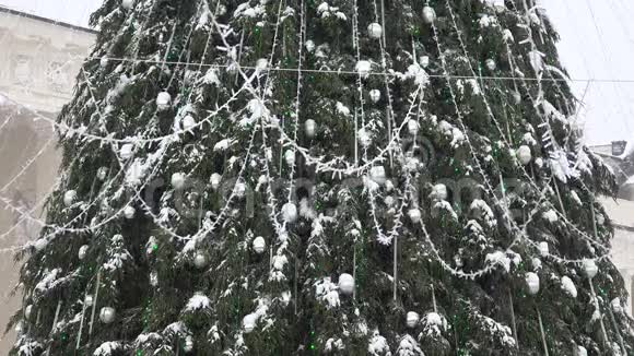 大圣诞树有银色的玩具和灯光在大雪纷飞的大雪中落下视频的预览图