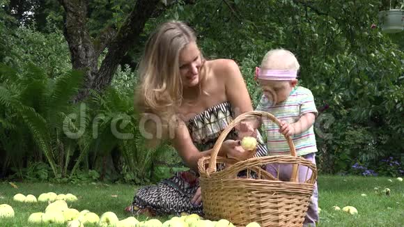 可爱的婴儿帮助他年轻的微笑的母亲在花园里摘意外收获的苹果水果4K视频的预览图