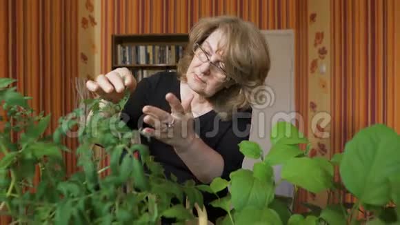 女生物学家的肖像是种植蔬菜新品种的家视频的预览图