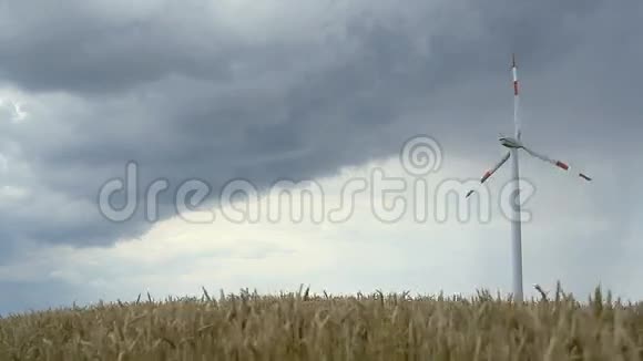 玉米地风车视频的预览图