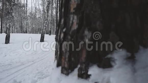 在冬季降雪时在大自然中慢动作的老年越野滑雪的成熟女性1920x1080视频的预览图