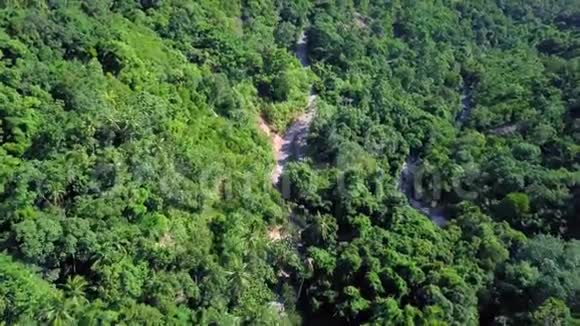 泰国热带森林之路鸟瞰图视频的预览图