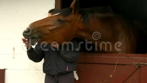马在马厩里吃干草视频的预览图