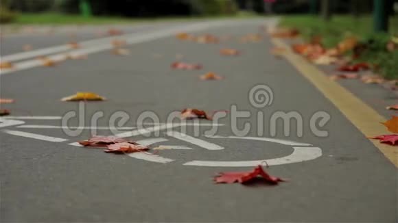 路上的自行车标志骑自行车的人秋天关闭水平滑杆射击视频的预览图