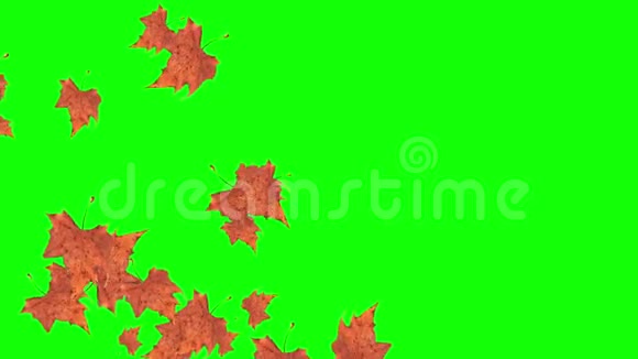 秋天落叶在绿色的背景上季节性主题背景视频的预览图
