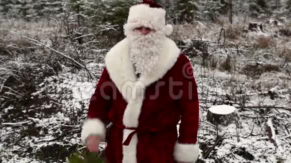 圣诞老人带着小杉在森林里做手势视频的预览图