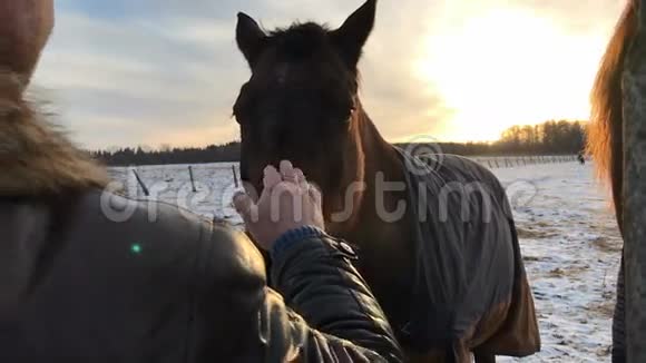 爸爸和他的女儿和马在冬天日落时视频的预览图
