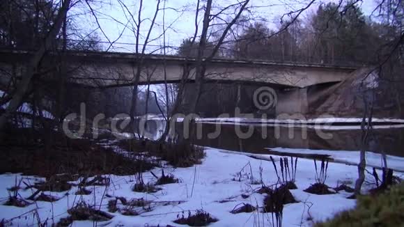冬林与江上桥的背景延时录像视频的预览图