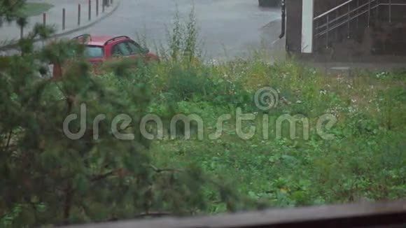住宅区大雨慢镜头视频的预览图