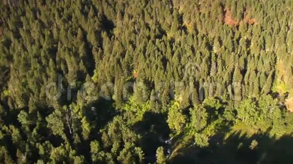 森林峡谷的空中拍摄视频的预览图