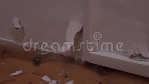 墙体爆裂真菌放大视频的预览图
