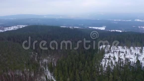 冬季森林无人机镜头视频的预览图