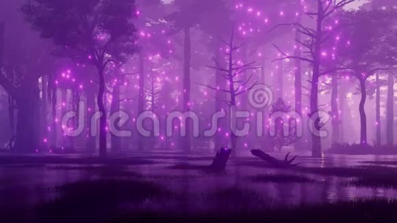 令人毛骨悚然的夜间森林沼泽4K的神奇灯光视频的预览图