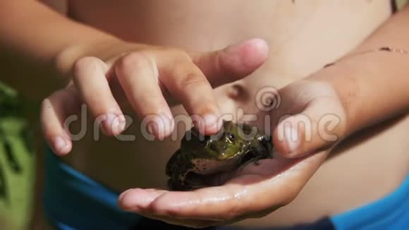 小孩手里拿着一只绿青蛙视频的预览图