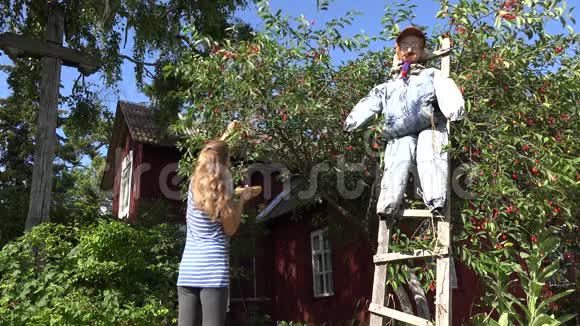 园丁女女孩从花园里的樱桃树上采摘浆果4K视频的预览图