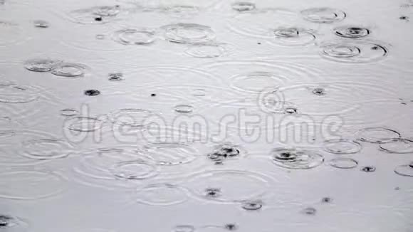 雨水落入水坑的特写镜头视频的预览图