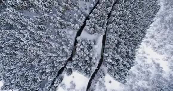 头顶鸟瞰簪弯转弯路中山雪覆冬林白色松树树林白雪公主视频的预览图