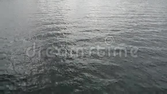 海洋的表面视频的预览图