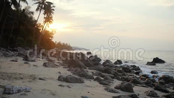 美丽的日落覆盖热带岛屿岩石海滩和棕榈树苏梅岛泰国波浪缓慢地撞击石头视频的预览图