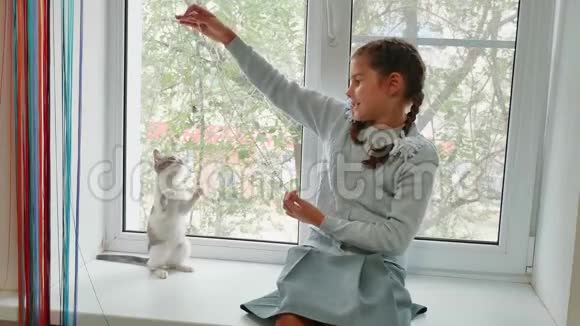 太阳落山时快乐的女孩和她的猫坐在窗台上小女孩和一只宠物猫白灰色玩女孩视频的预览图