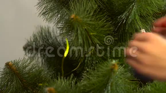 女孩装饰一棵圣诞树树枝上有蓝色的球视频的预览图