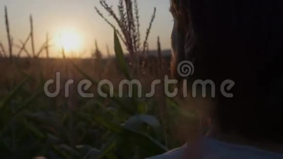 日落日出时留着胡须的英俊男子的轮廓景观视频的预览图