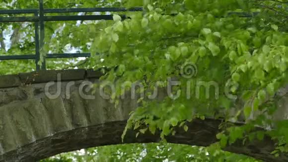 叶林山溪老石桥视频的预览图
