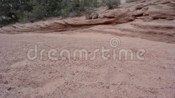 沙漠沙与妇女脚徒步穿越视频的预览图