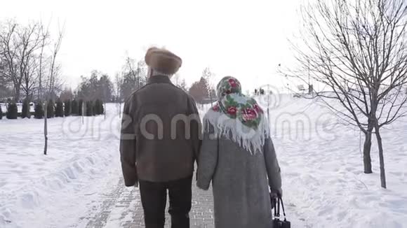 在公园散步的老年夫妇的后景快乐的老人在岁月里视频的预览图