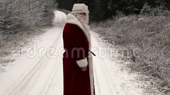 圣诞老人在雪地路上的树林里散步视频的预览图
